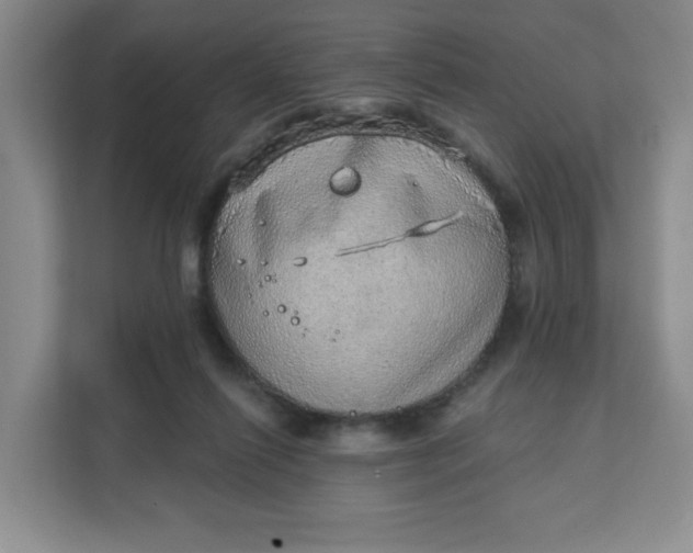 X0000111130262200907141217