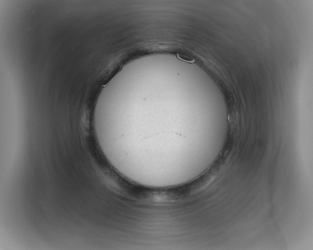 X0000111130264200907141217
