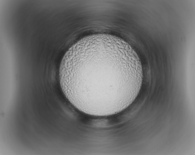 X0000111130266200907141217