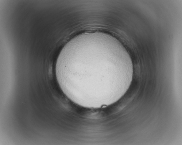 X0000111130267200907141217