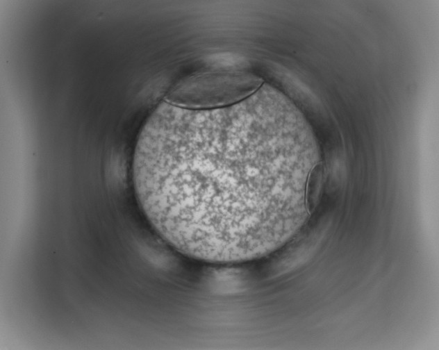 X0000111130268200907141217
