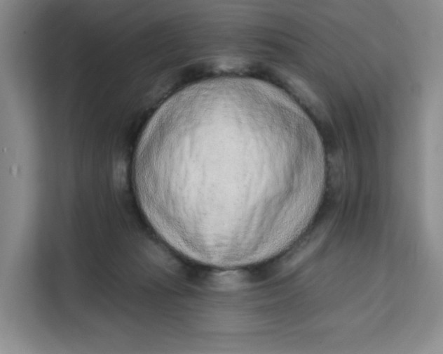X0000111130269200907141217