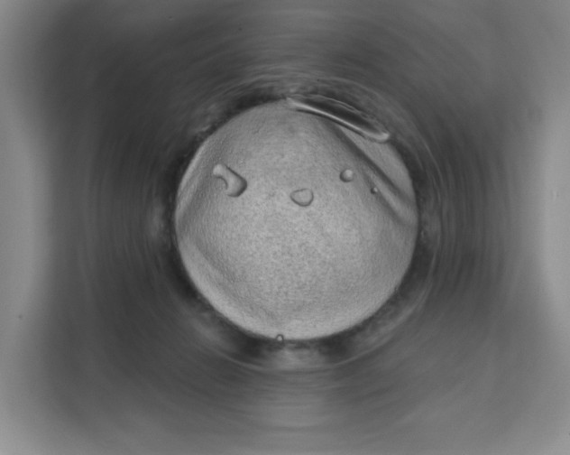 X0000111130270200907141217