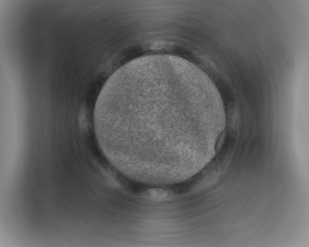 X0000111130272200907141217