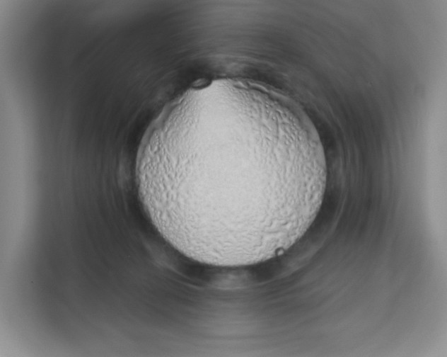 X0000111130274200907141217