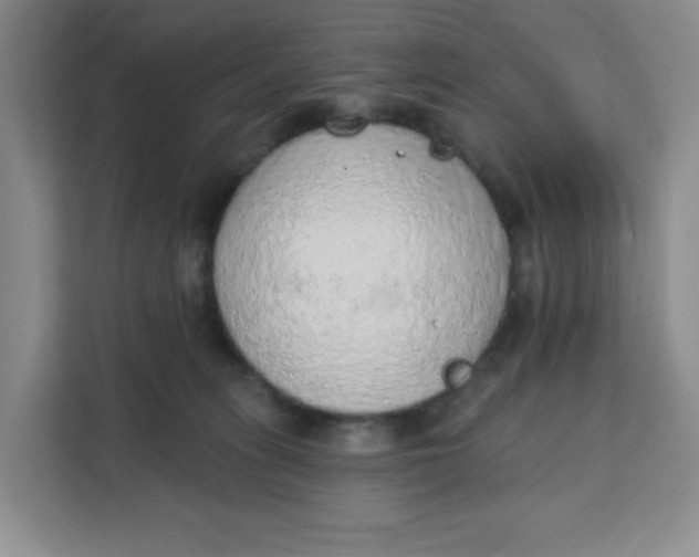 X0000111130275200907141217