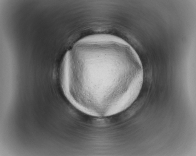 X0000111130277200907141217