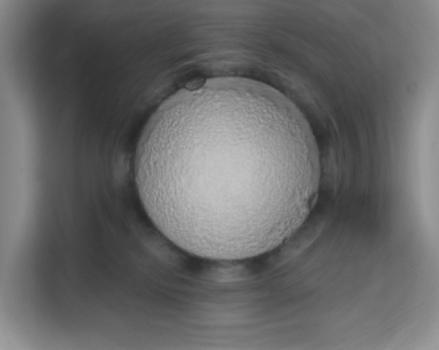 X0000111130278200907141217