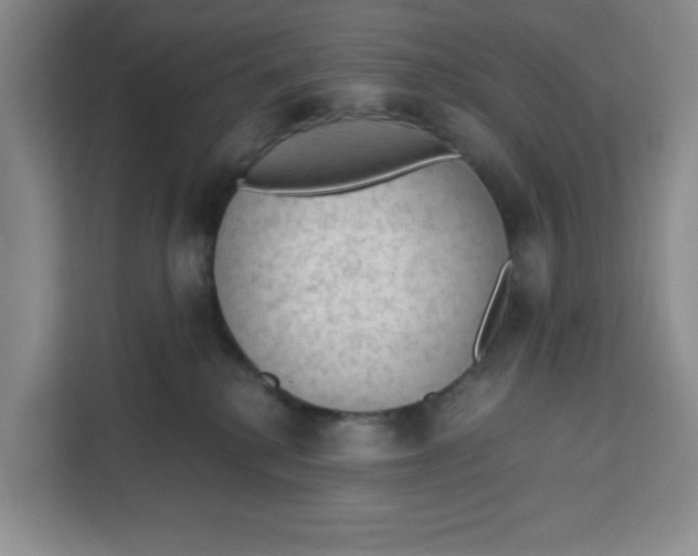 X0000111130280200907141217