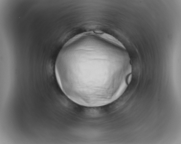 X0000111130282200907141217