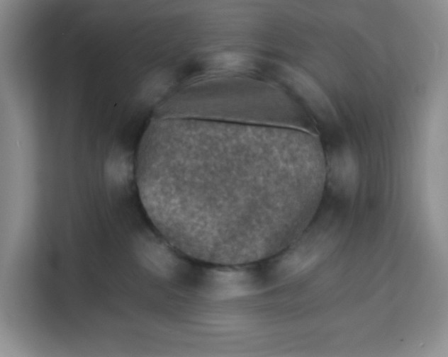 X0000111130284200907141217