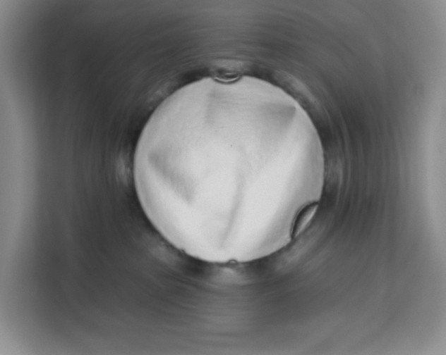 X0000111130285200907141217