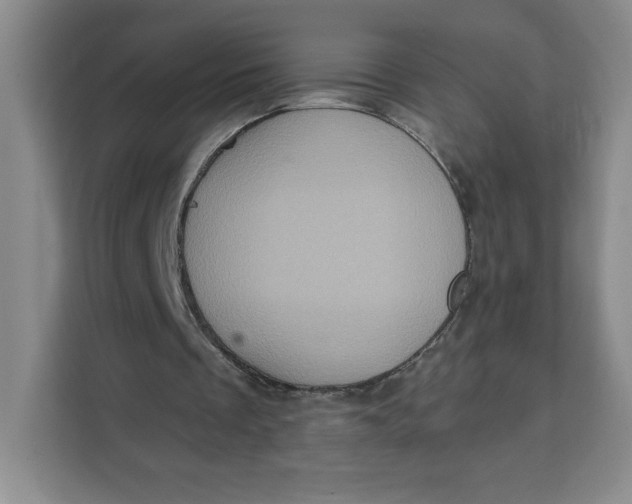 X0000111130289200907141216