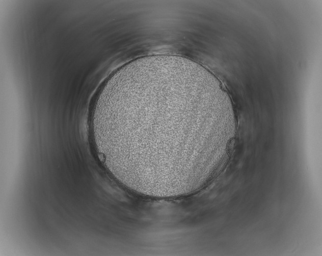 X0000111130290200907141216