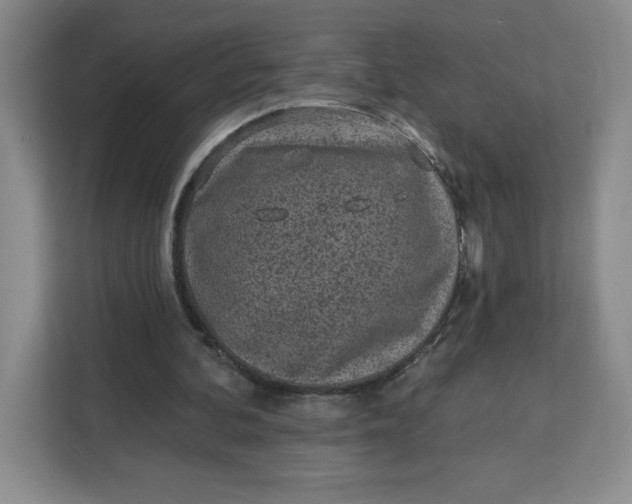 X0000111130292200907141216
