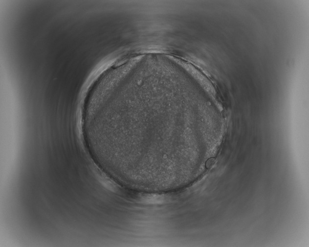 X0000111130293200907141216