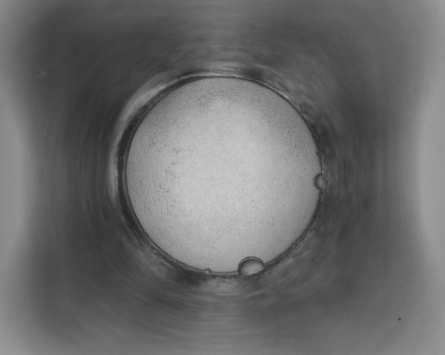 X0000111130294200907141216