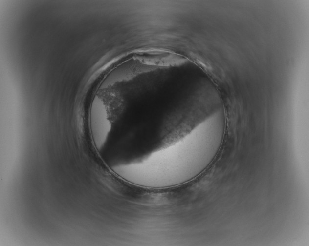 X0000111130295200907141216