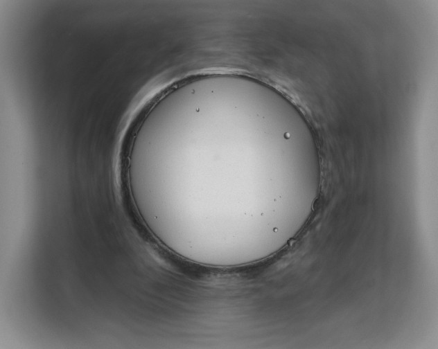 X0000111130296200907141216