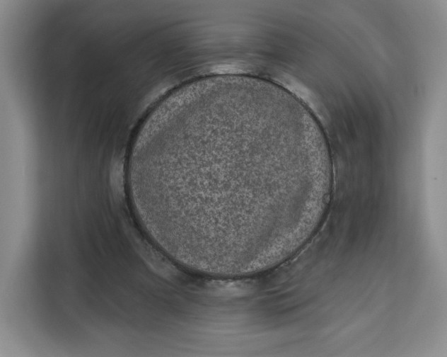 X0000111130297200907141216
