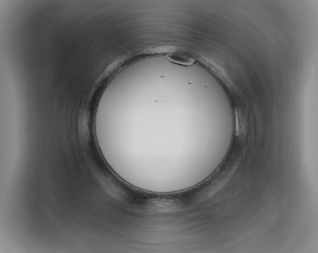 X0000111130300200907141216