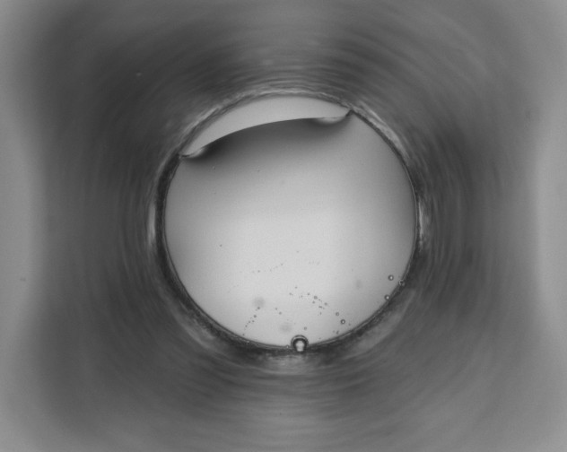 X0000111130301200907141216