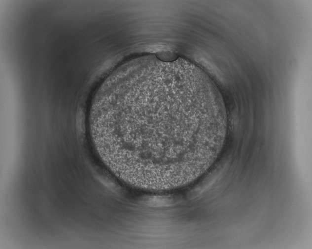 X0000111130303200907141216