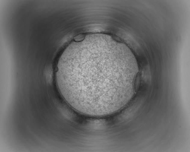 X0000111130304200907141216