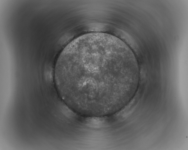 X0000111130305200907141216