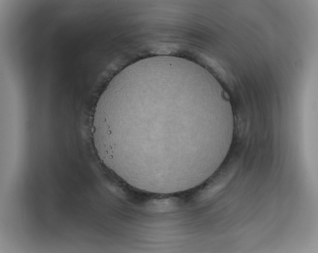 X0000111130307200907141216