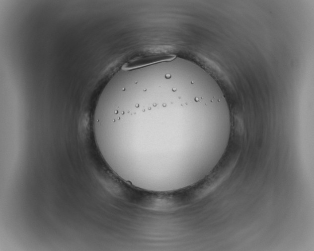 X0000111130308200907141216