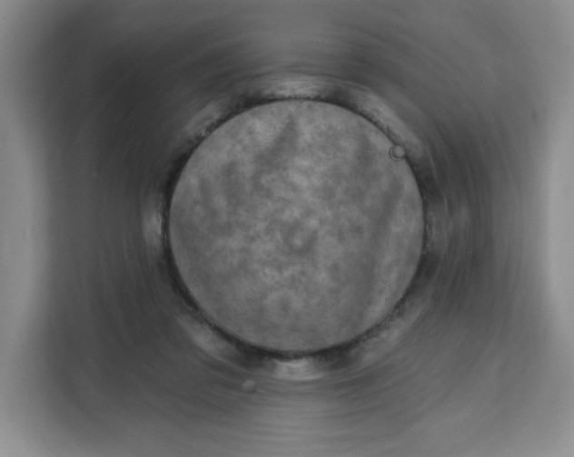 X0000111130309200907141216