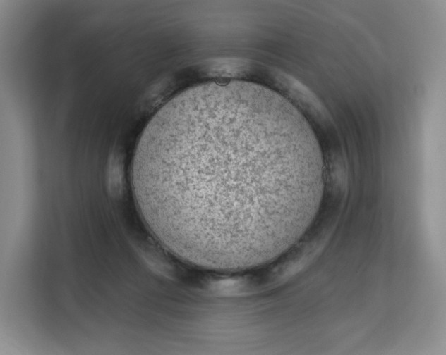 X0000111130312200907141216