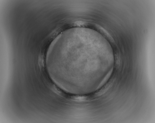 X0000111130313200907141216