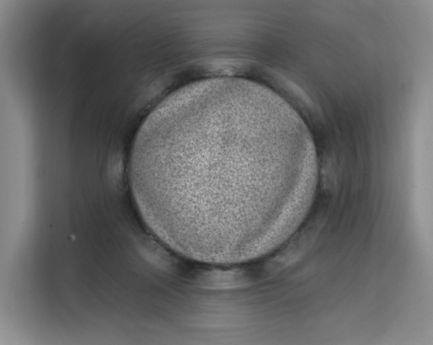 X0000111130314200907141216