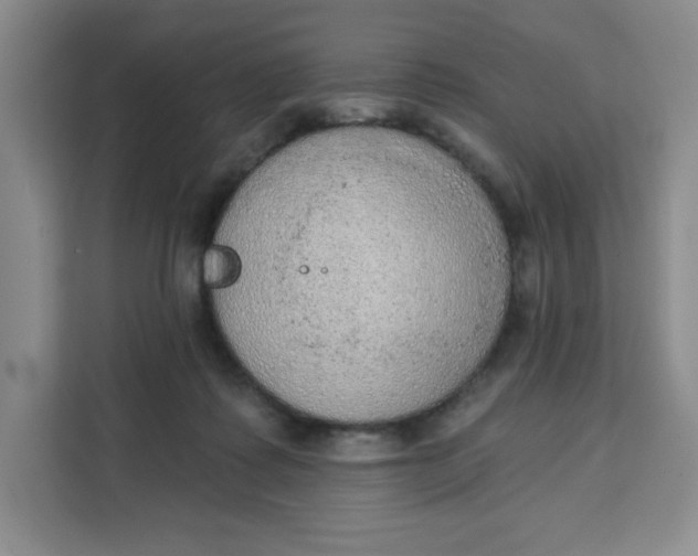 X0000111130315200907141216