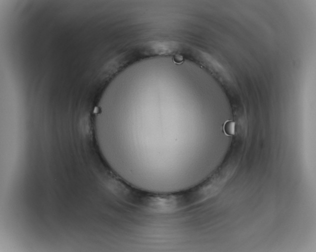 X0000111130317200907141216