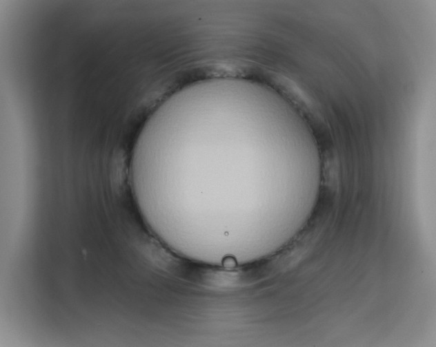 X0000111130318200907141216