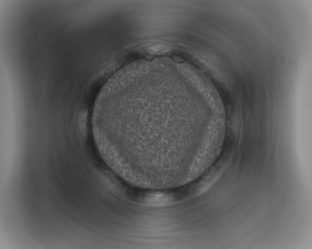 X0000111130319200907141216