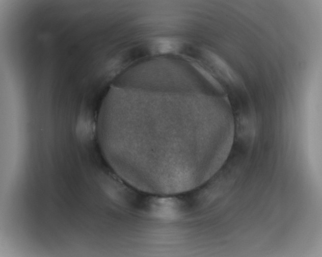 X0000111130324200907141216