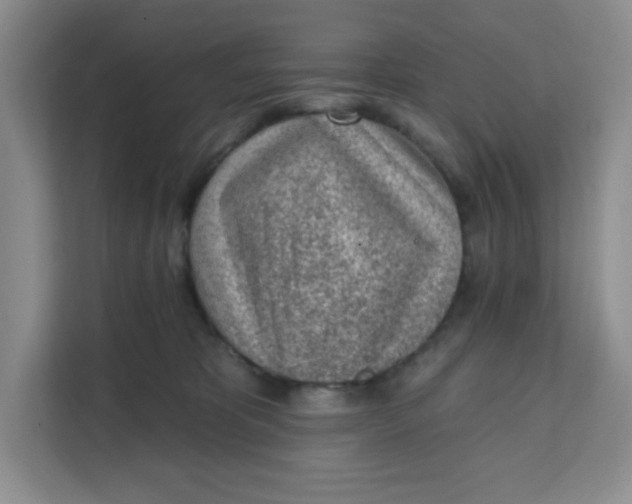 X0000111130325200907141216