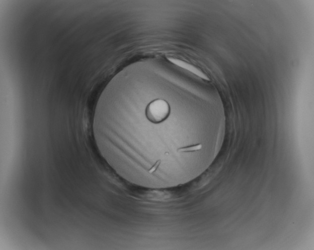 X0000111130328200907141216