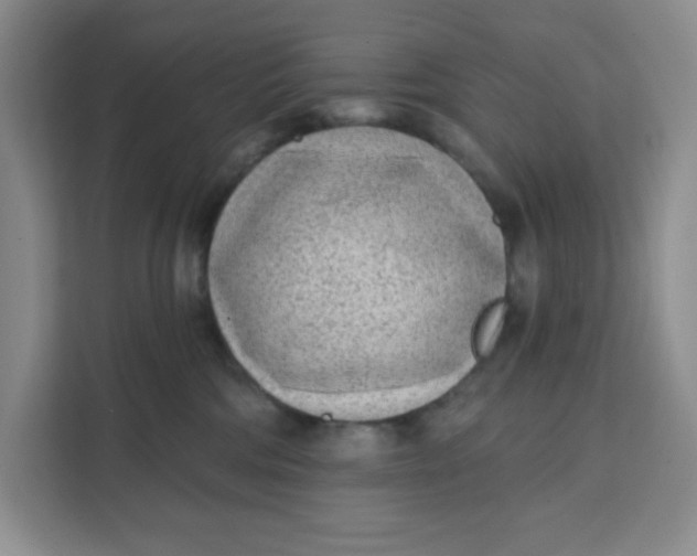 X0000111130330200907141216