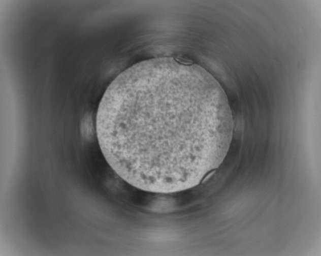X0000111130335200907141216