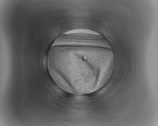 X0000111130336200907141216