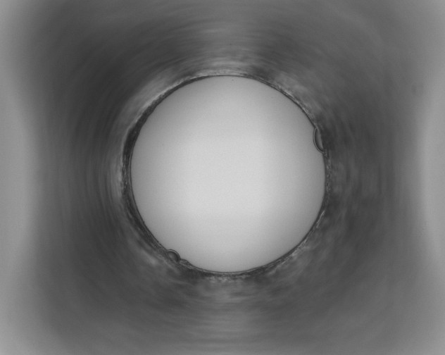 X0000111130338200907141215