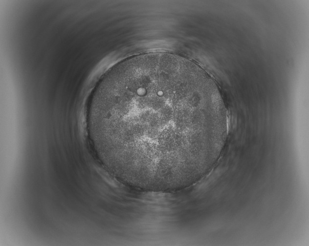 X0000111130339200907141215