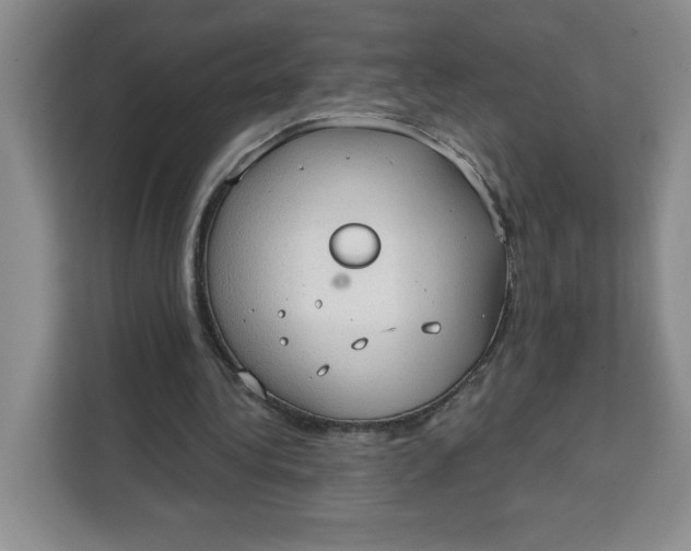 X0000111130340200907141215
