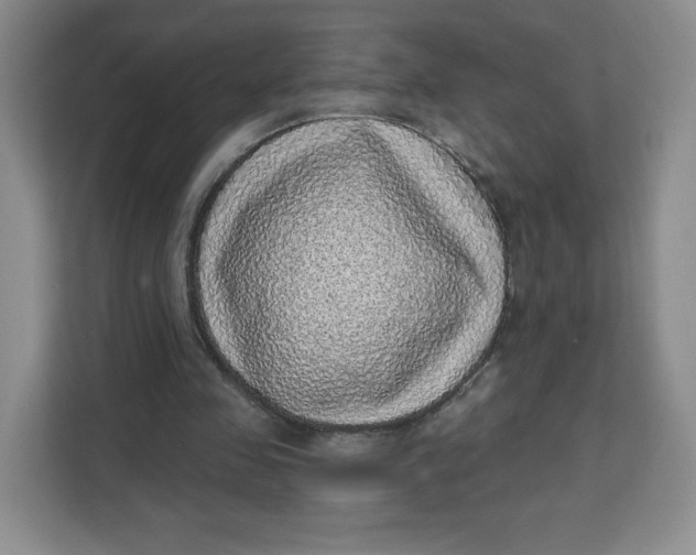 X0000111130341200907141215
