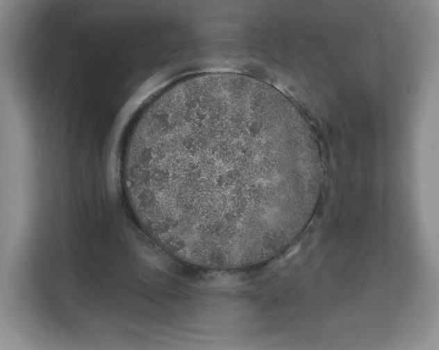 X0000111130343200907141215